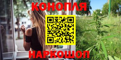 сатива Нальчик