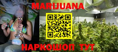 сатива Нальчик